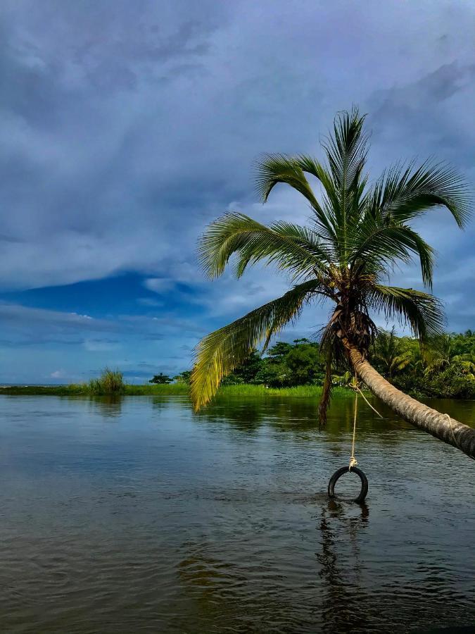 Donama River Palomino Exterior photo