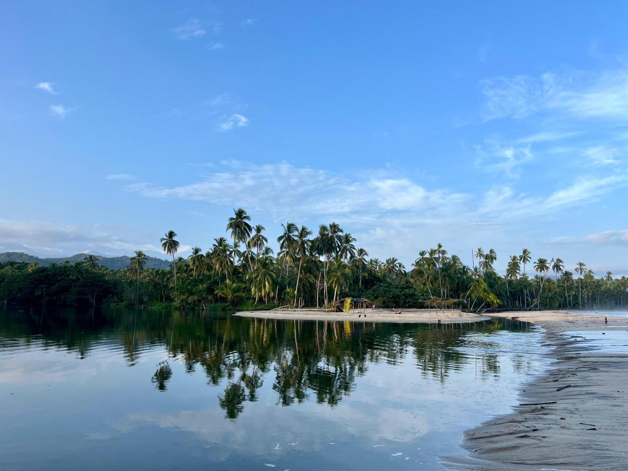 Donama River Palomino Exterior photo